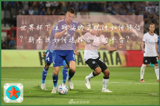 世界杯下注网站的正规性如何评估？新手该如何选择合适的平台？