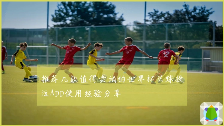推荐几款值得尝试的世界杯买球投注App使用经验分享