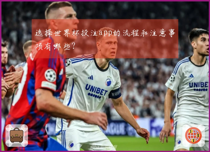 选择世界杯投注app的流程和注意事项有哪些？