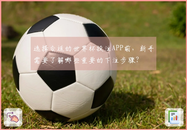 选择合适的世界杯投注APP前，新手需要了解哪些重要的下注步骤？