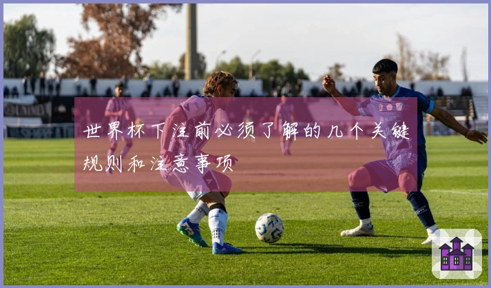 世界杯下注前必须了解的几个关键规则和注意事项