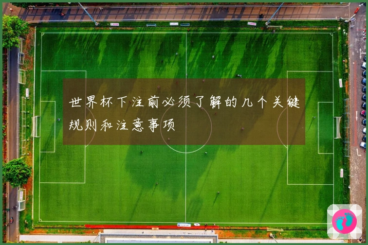 世界杯下注前必须了解的几个关键规则和注意事项